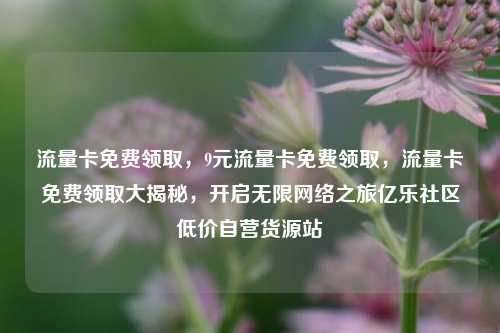 流量卡免费领取	，9元流量卡免费领取，流量卡免费领取大揭秘，开启无限网络之旅亿乐社区低价自营货源站  第1张